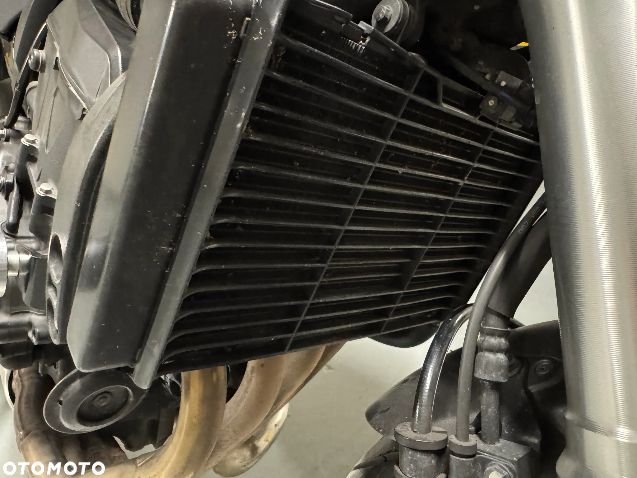 Honda Hornet - 10
