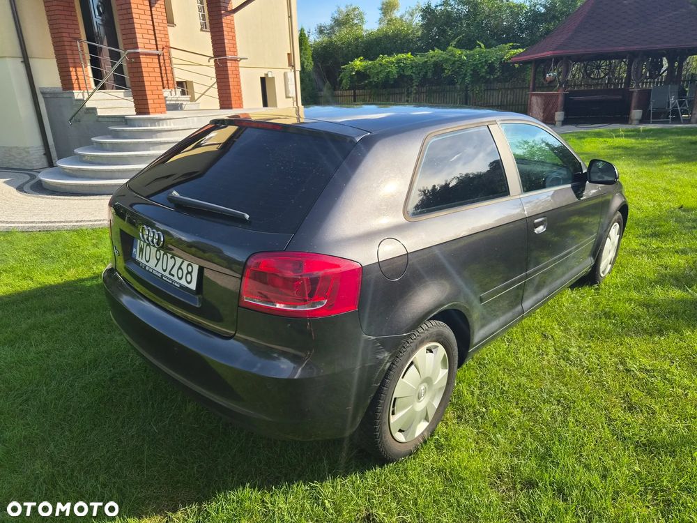 Audi A3 3-drzwiowe 1.6 TDI DPF Ambiente - 5
