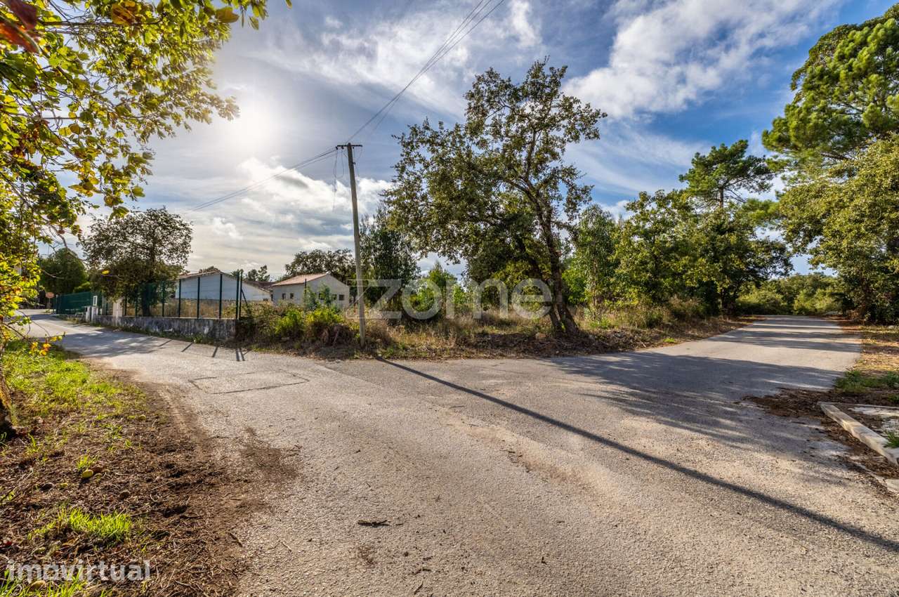 Terreno Urbanizável com 1.000 m2- Covões -Aljubarrota- Alcobaça - Grande imagem: 4/21