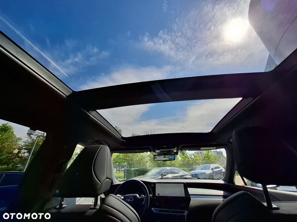 Lexus RX - 22