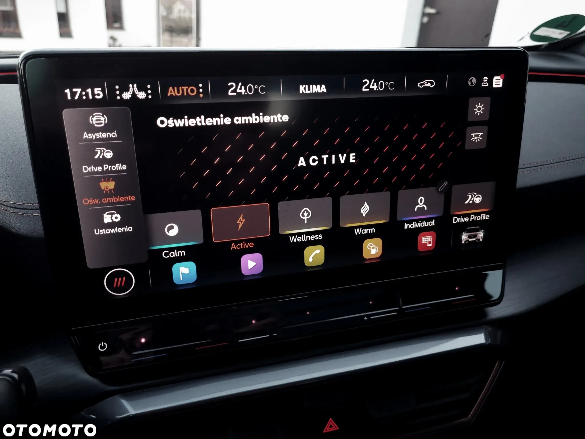 Cupra Formentor 2.0 TSI 4Drive VZ DSG - 31
