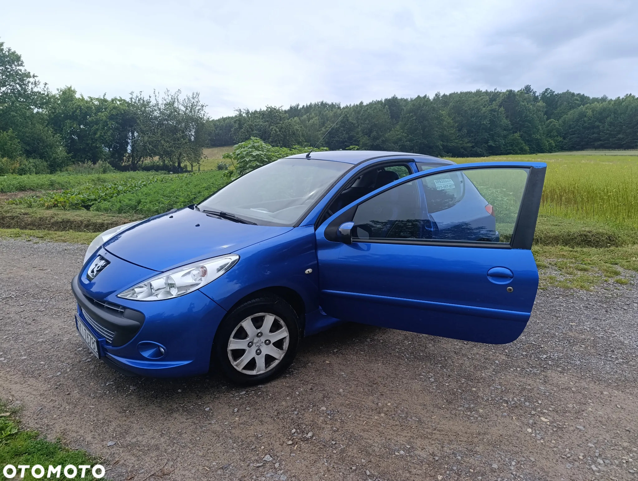 Peugeot 206 plus - 16