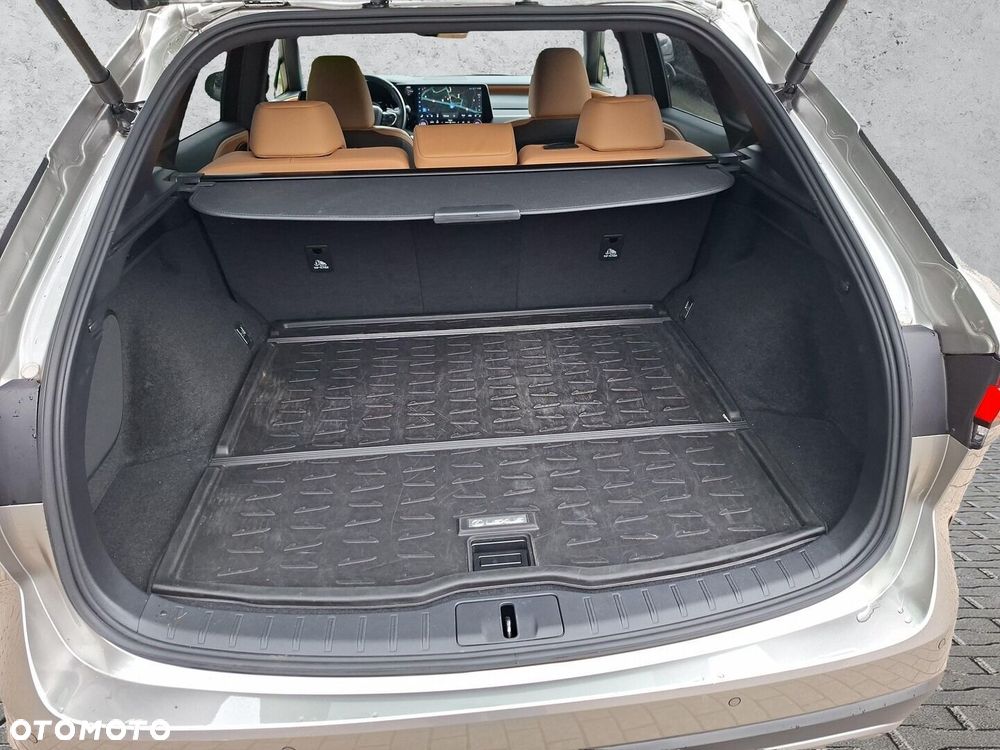 Lexus RX - 25