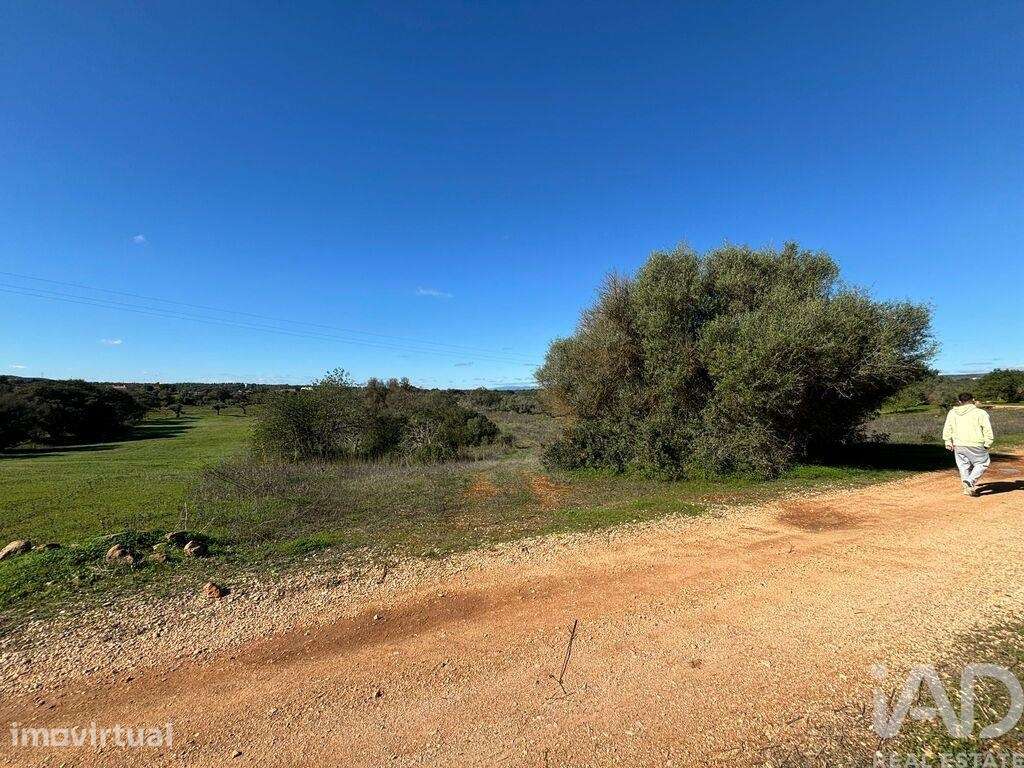 Terreno Agrícola em Paderne - Grande imagem: 2/4