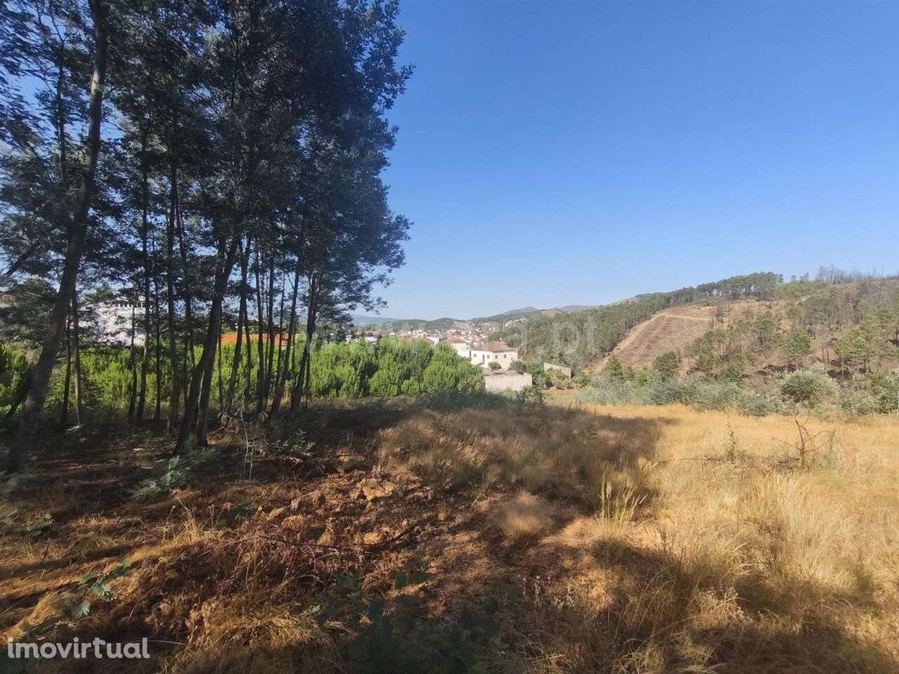 Terreno Rústico / Fundão, Silvares - Grande imagem: 5/7