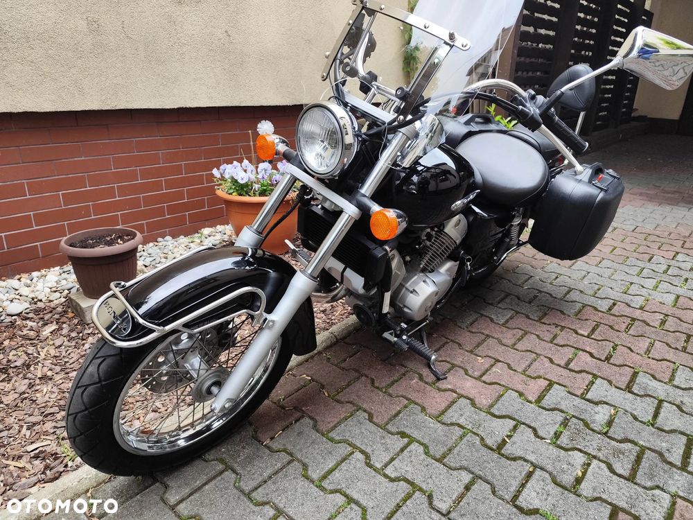 Honda Shadow - 14