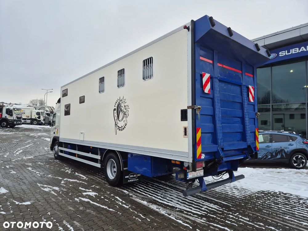 Volvo FM 7 / DO PRZEWOZU BYDŁA I KONI / 5 MIEJSC / POMIESZCZENIE MIESZKALNE / 1 WŁ / SUPER STAN / NIE ZAWODNE VOLVO / OKAZJA RYNKOWA! - 11