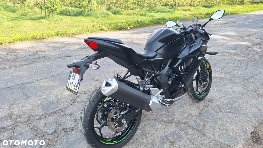 Kawasaki Ninja - 15