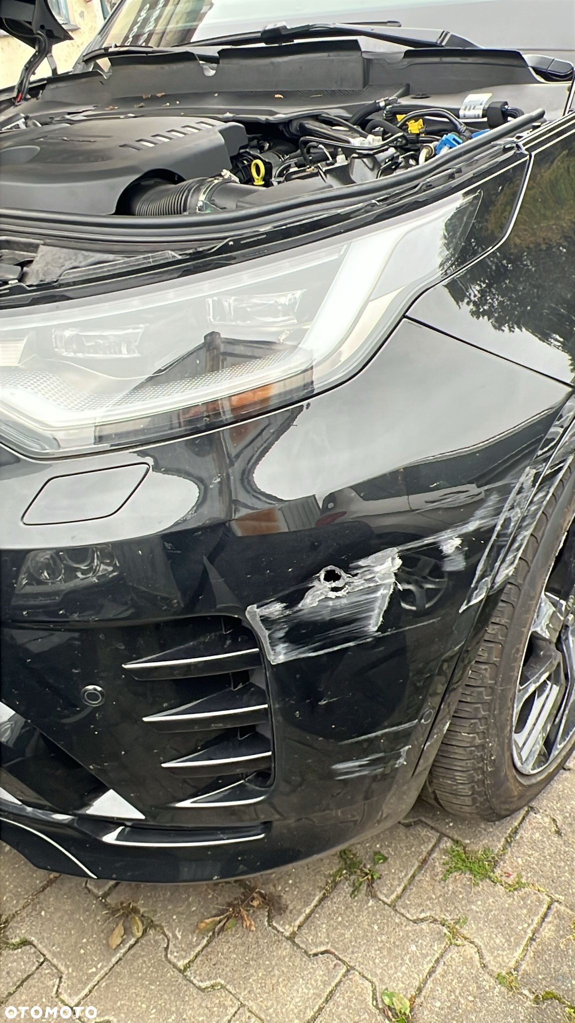 Land Rover Discovery D250 R-Dynamic SE - 13