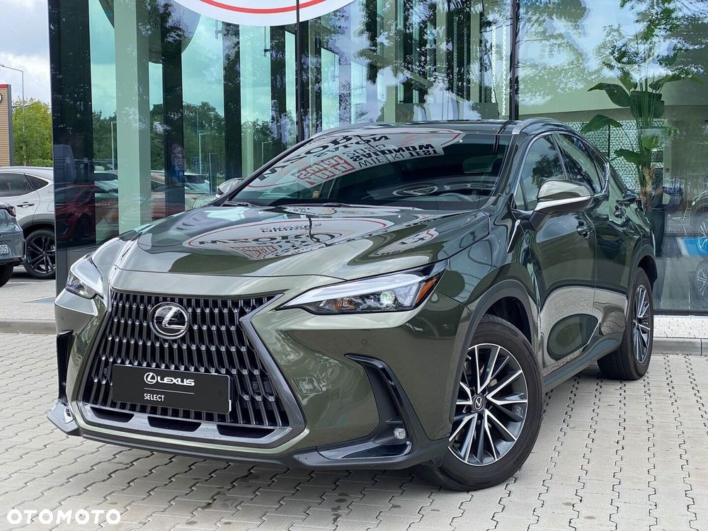 Lexus NX - 10