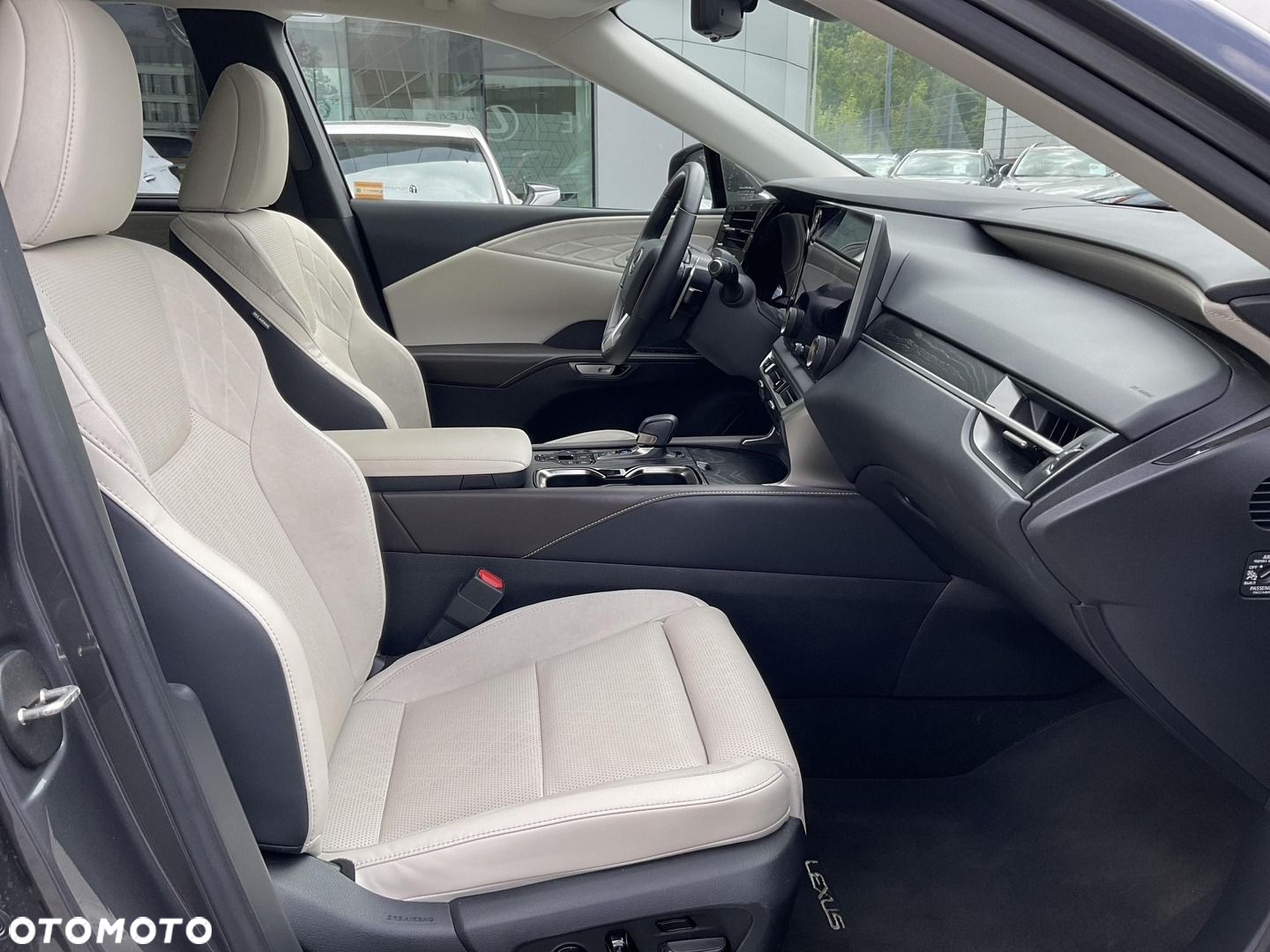 Lexus RX - 13