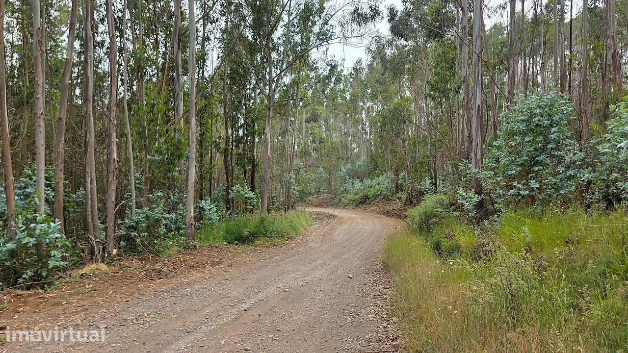 Terreno  para venda - Grande imagem: 2/7