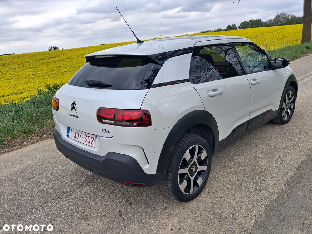 Citroën C4 Cactus BlueHDi 100 Stop&Start Business Class - 16
