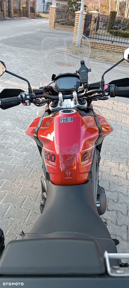 Triumph Tiger - 15