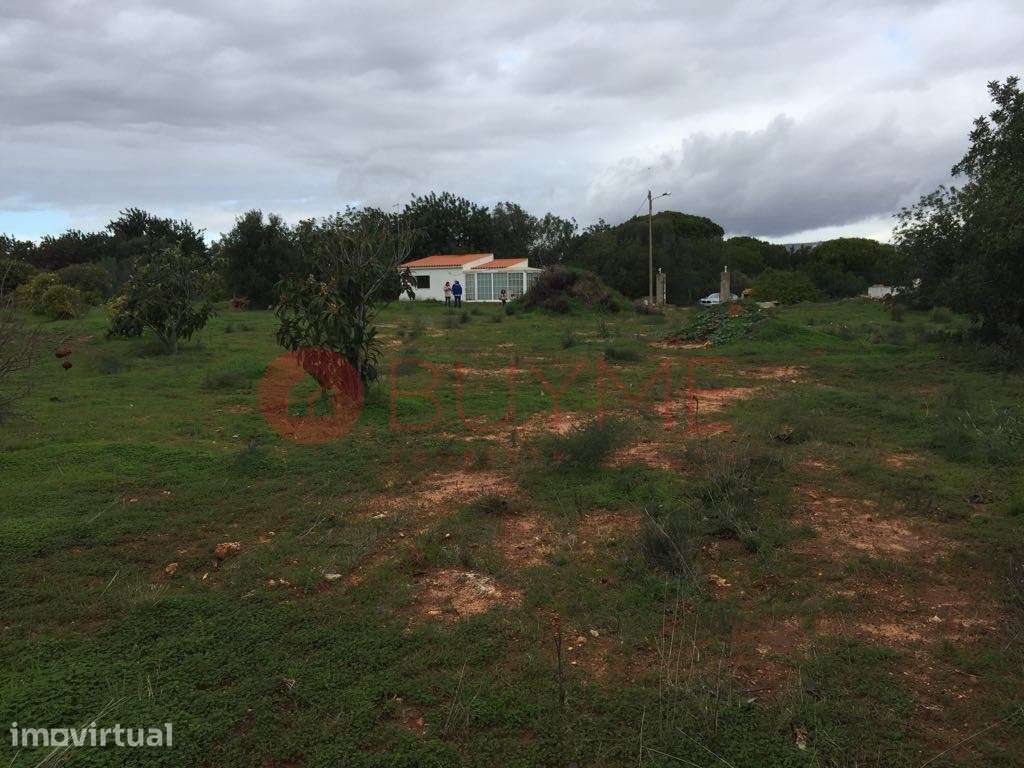 Terreno Rústico Vedado com Anexo em Vale Judeu, Loulé - Grande imagem: 3/5