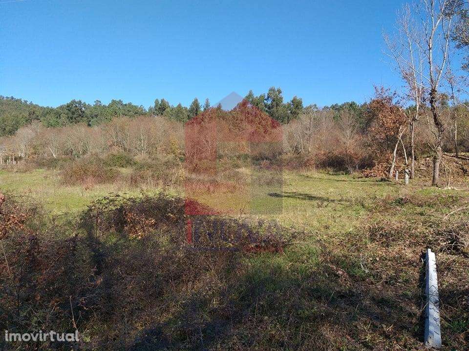 Terreno agrícola, Dossãos - Grande imagem: 2/8