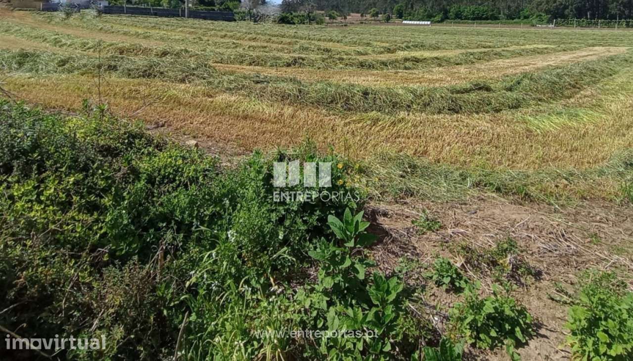 Venda de Terreno com 15 000 m2, Vilar, Vila do Conde - Grande imagem: 4/11