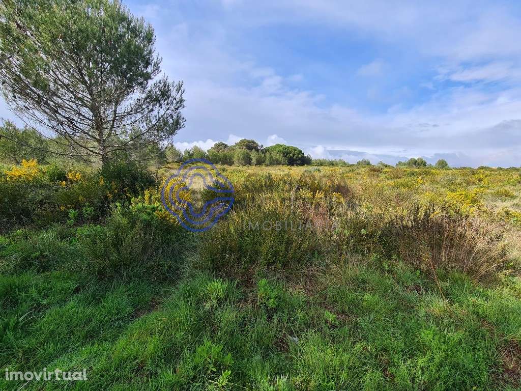 Terreno - 11.560m2 - Perto do Autódromo Estoril - Cascais - Grande imagem: 2/14