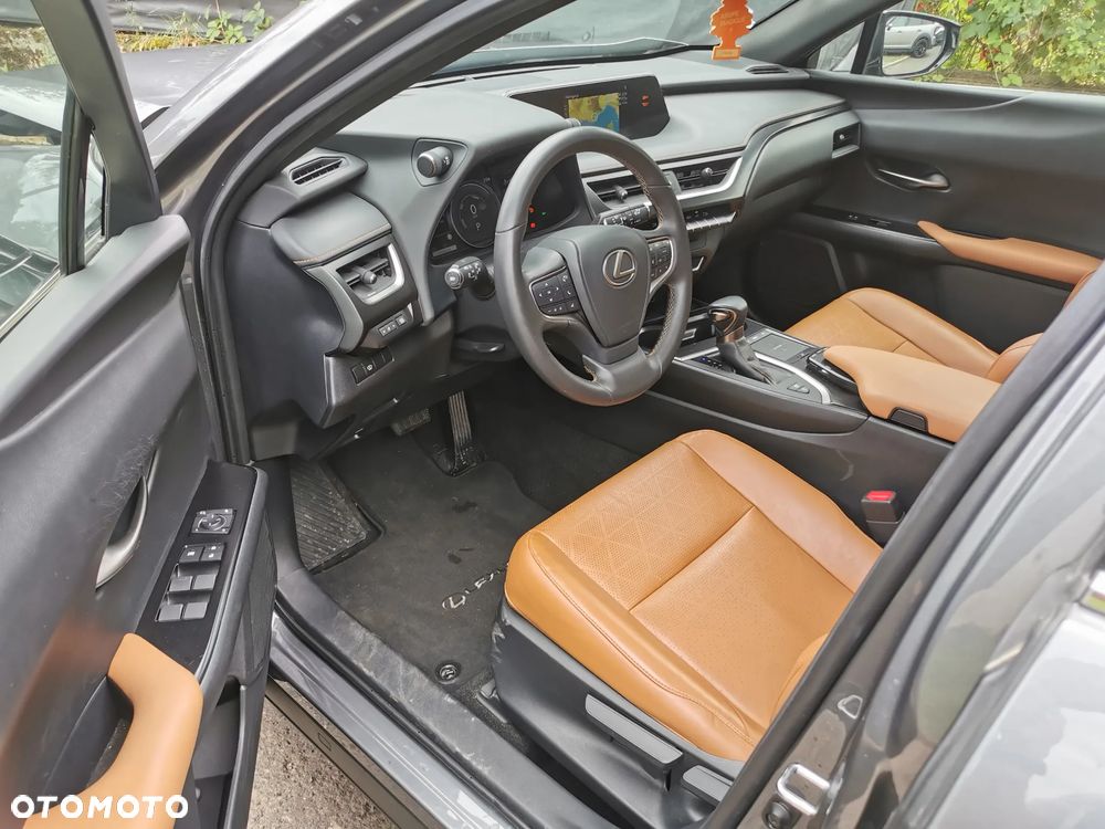 Lexus UX 250h - 9