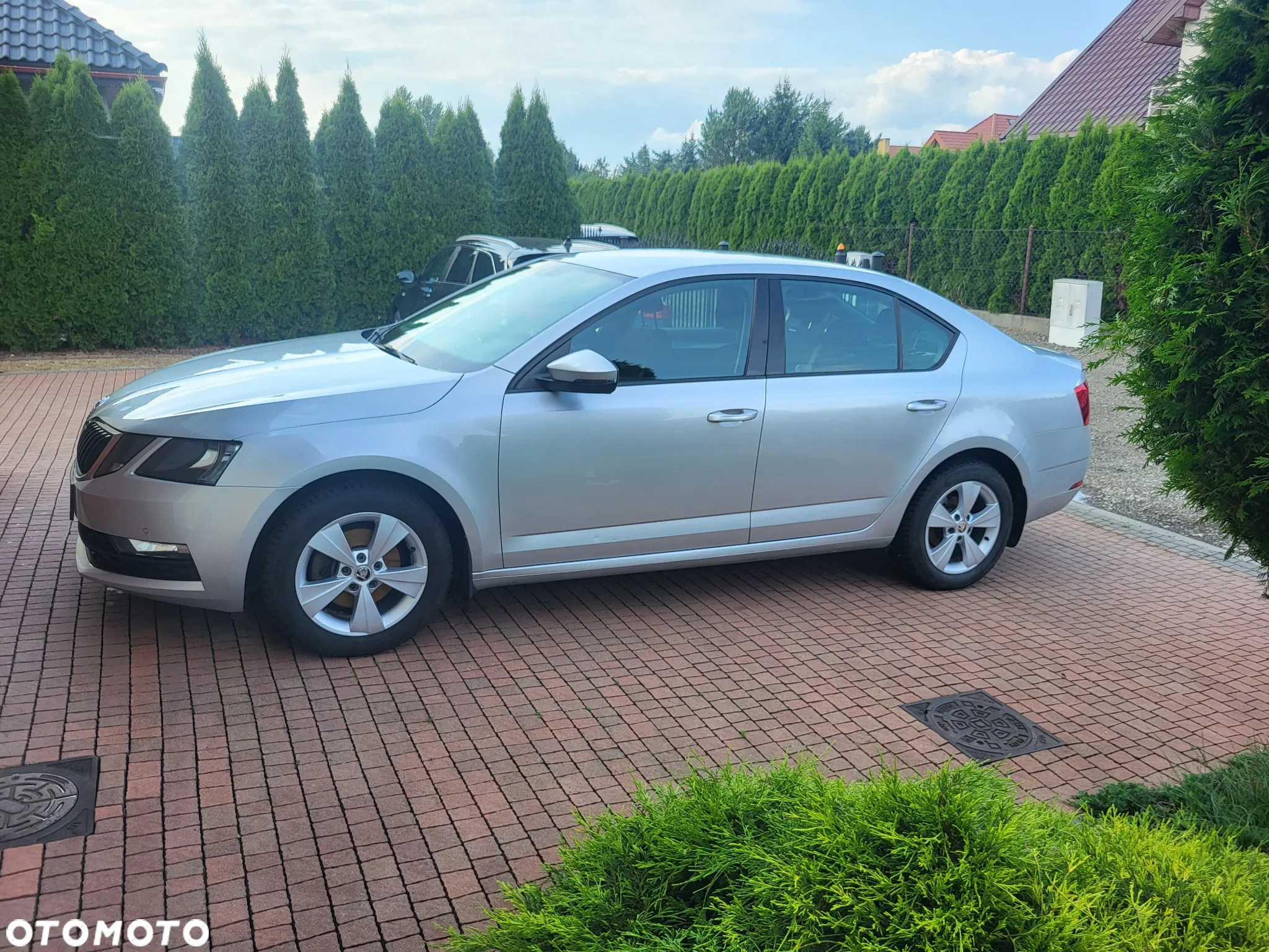 Skoda Octavia 1.4 TSI Business - 5