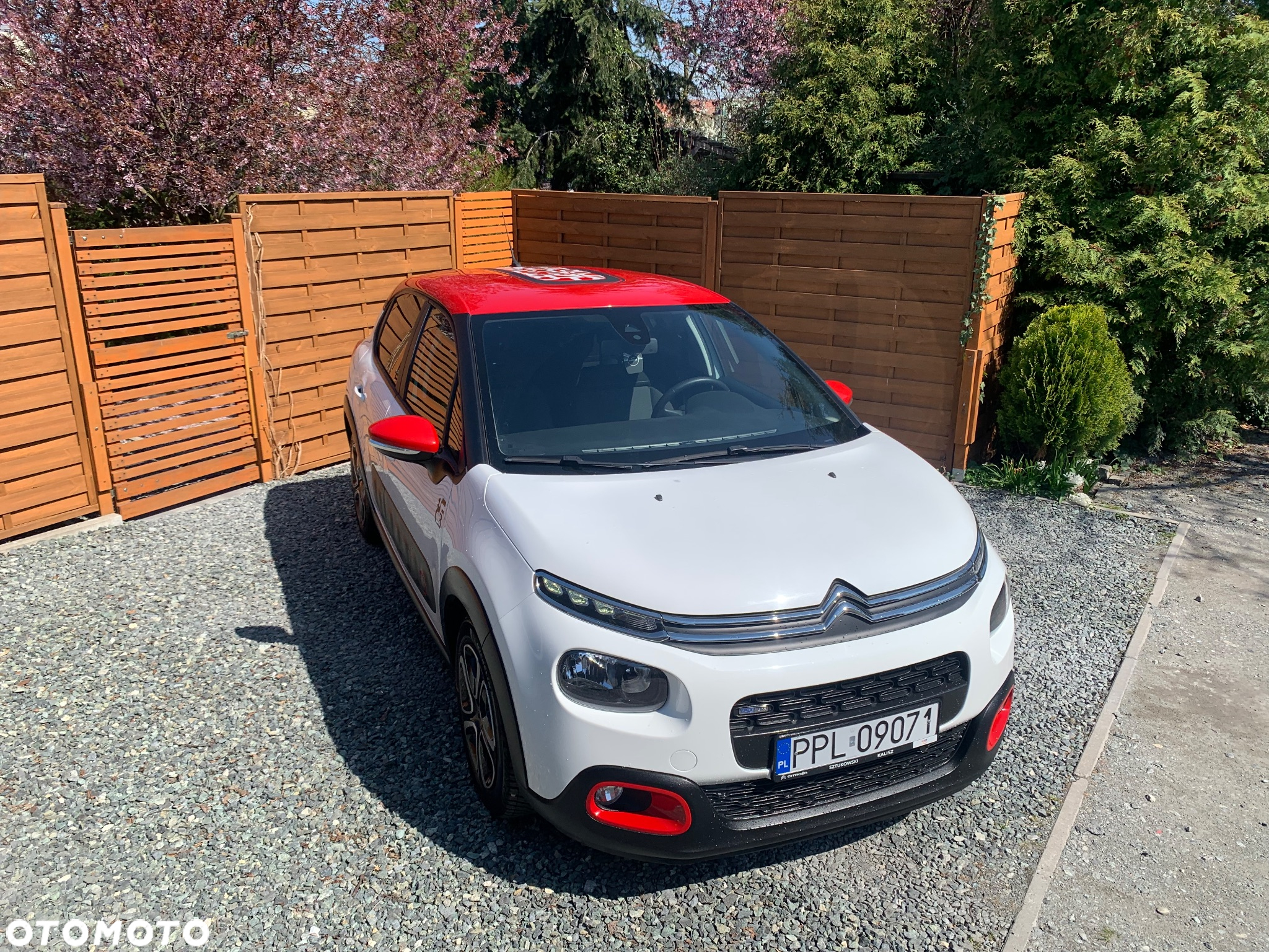 Citroën C3 1.2 PureTech Shine - 3
