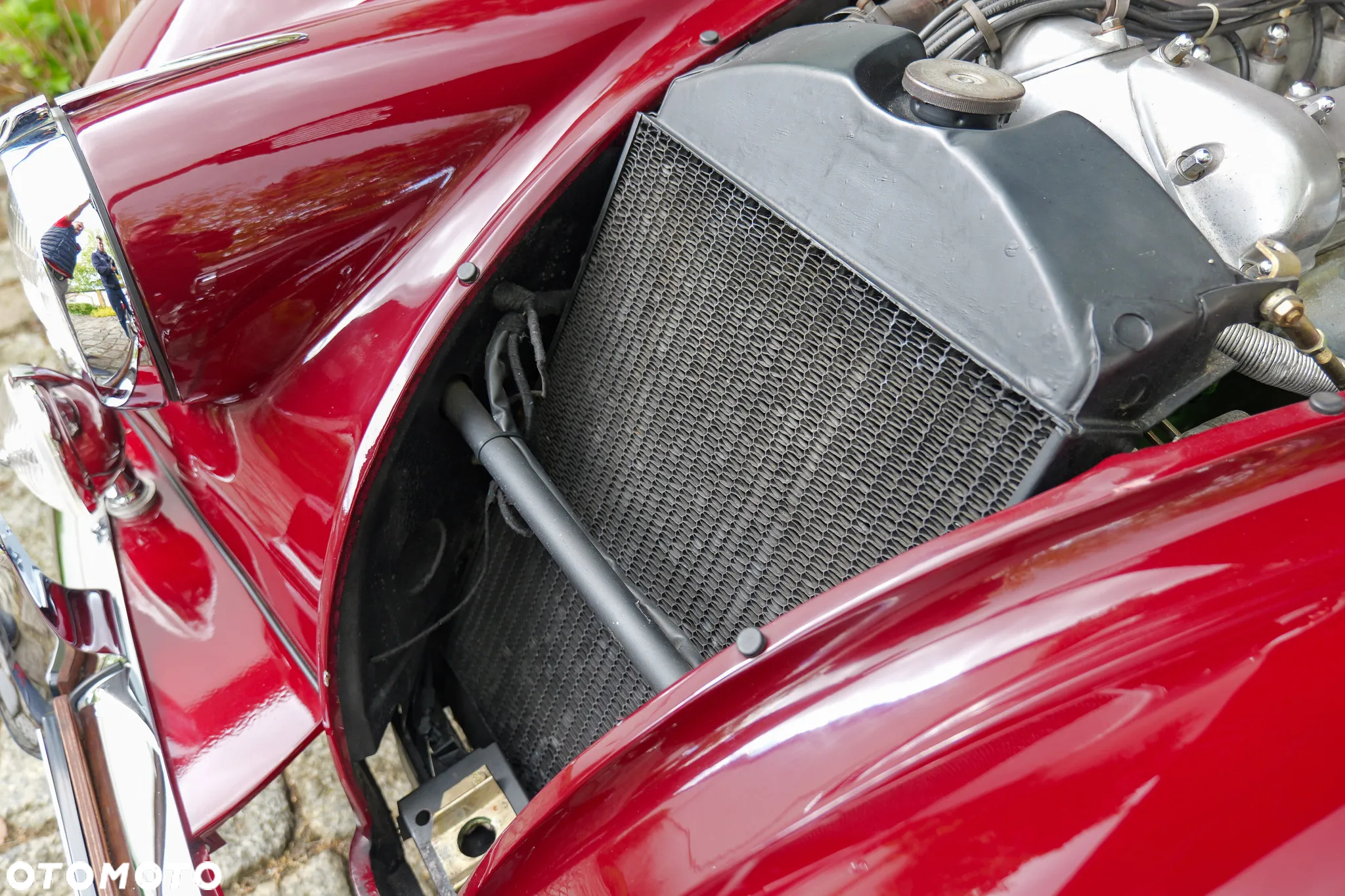 Jaguar XK - 29