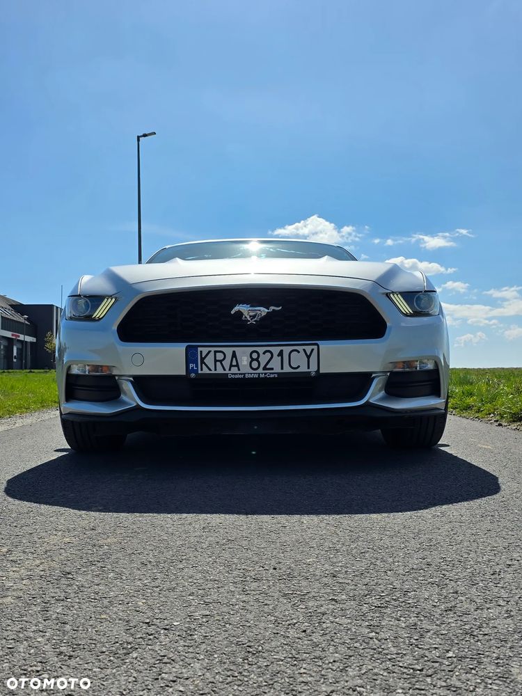 Ford Mustang 3.7 V6 - 17