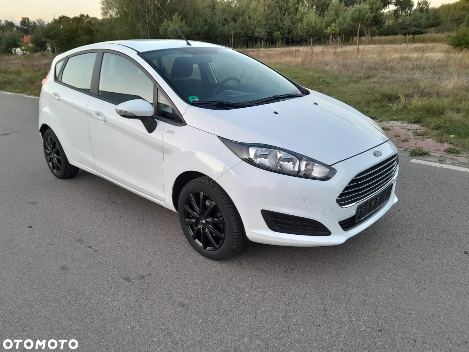Ford Fiesta - 1