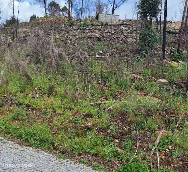 Bouça em Balde sta Leocádia-Baião - Grande imagem: 4/6