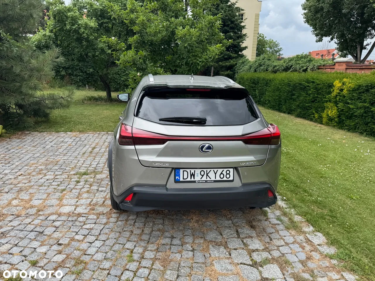 Lexus UX 250h GPF Business Edition 2WD - 4