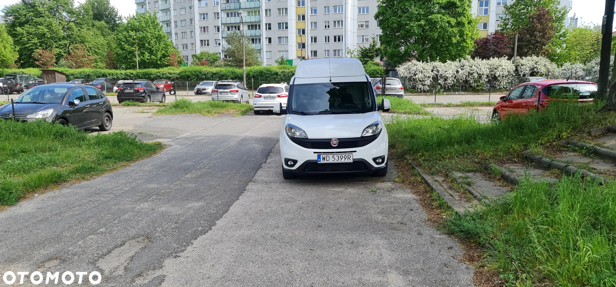 Fiat Doblo - 17
