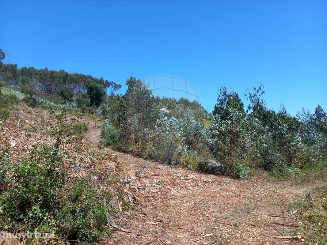 Terreno  para venda - Grande imagem: 3/3