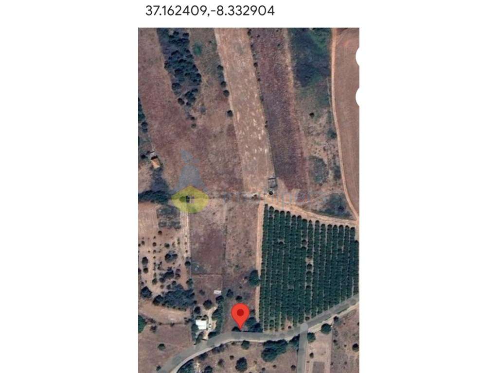Terreno em zona rural, para agricultura e afins. Acesso alcatroado.... - Grande imagem: 4/7