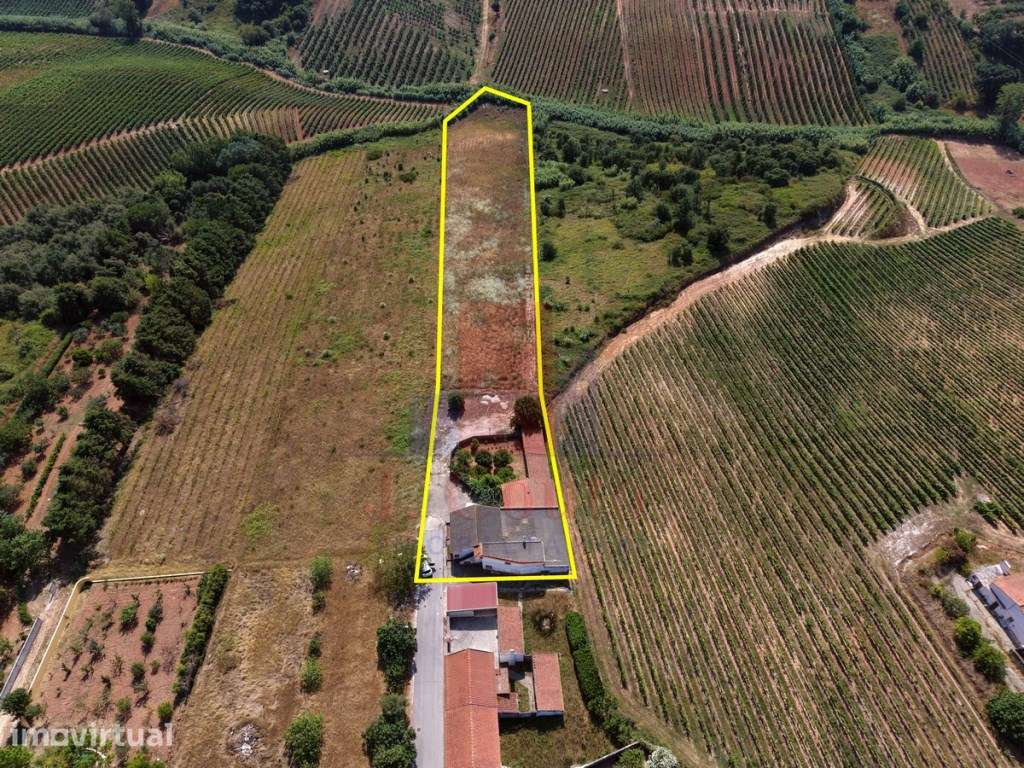 Moradia T3 com Terreno de 7.868 m² | Vista Panorâmica sobre o Campo... - Grande imagem: 3/31