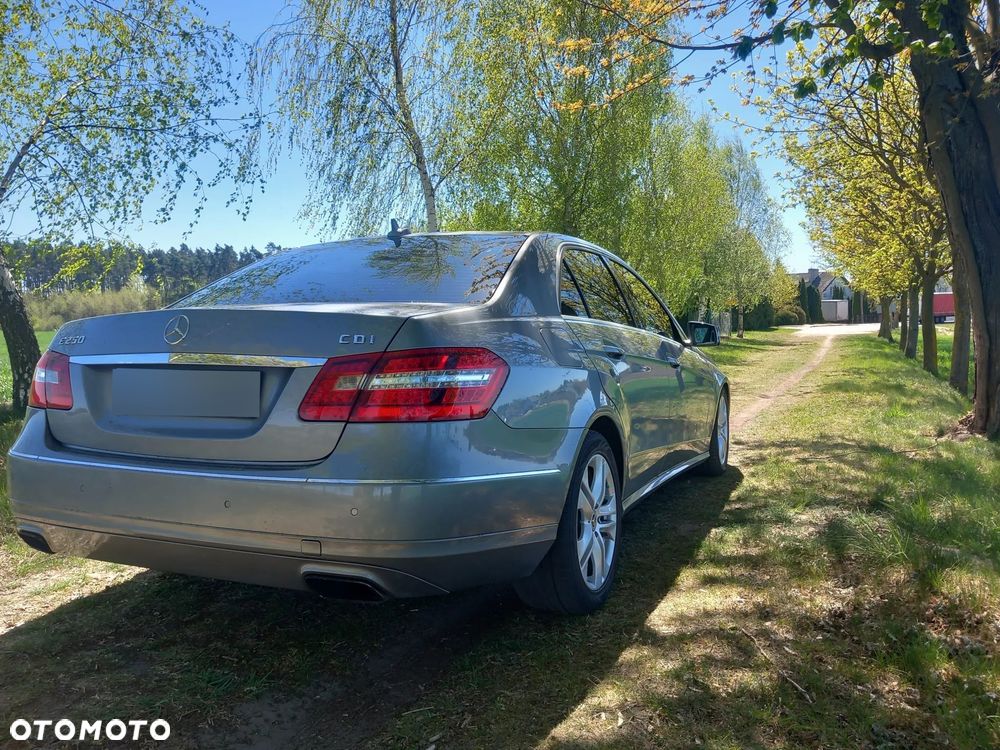 Mercedes-Benz Klasa E 250 CDI DPF BlueEFFICIENCY 7G-TRONIC Avantgarde - 31