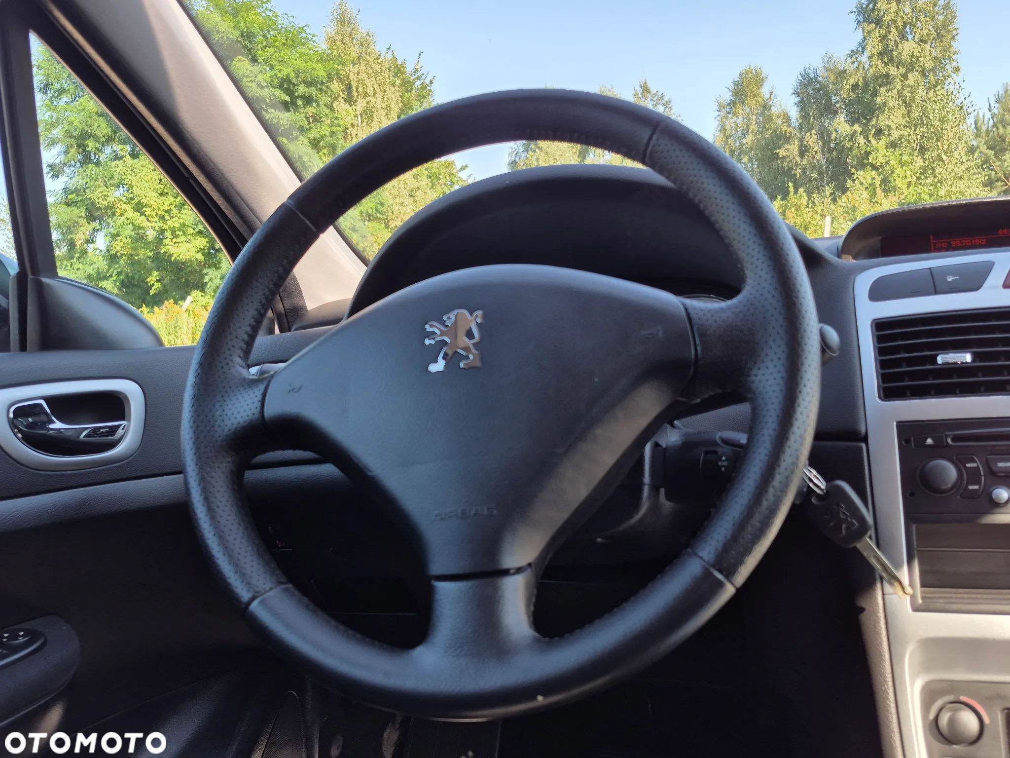 Peugeot 307 - 14