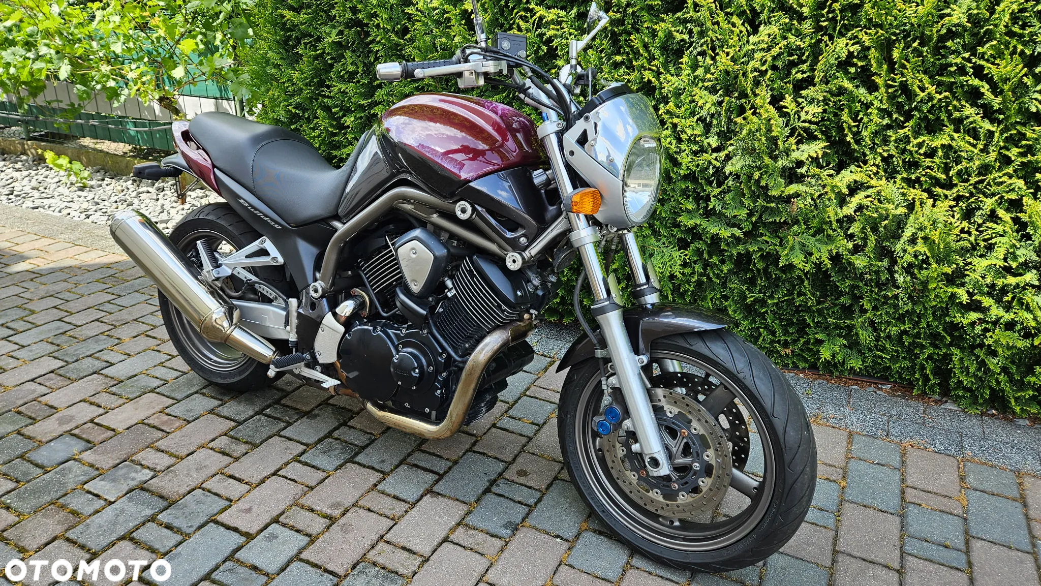 Yamaha Bulldog - 2