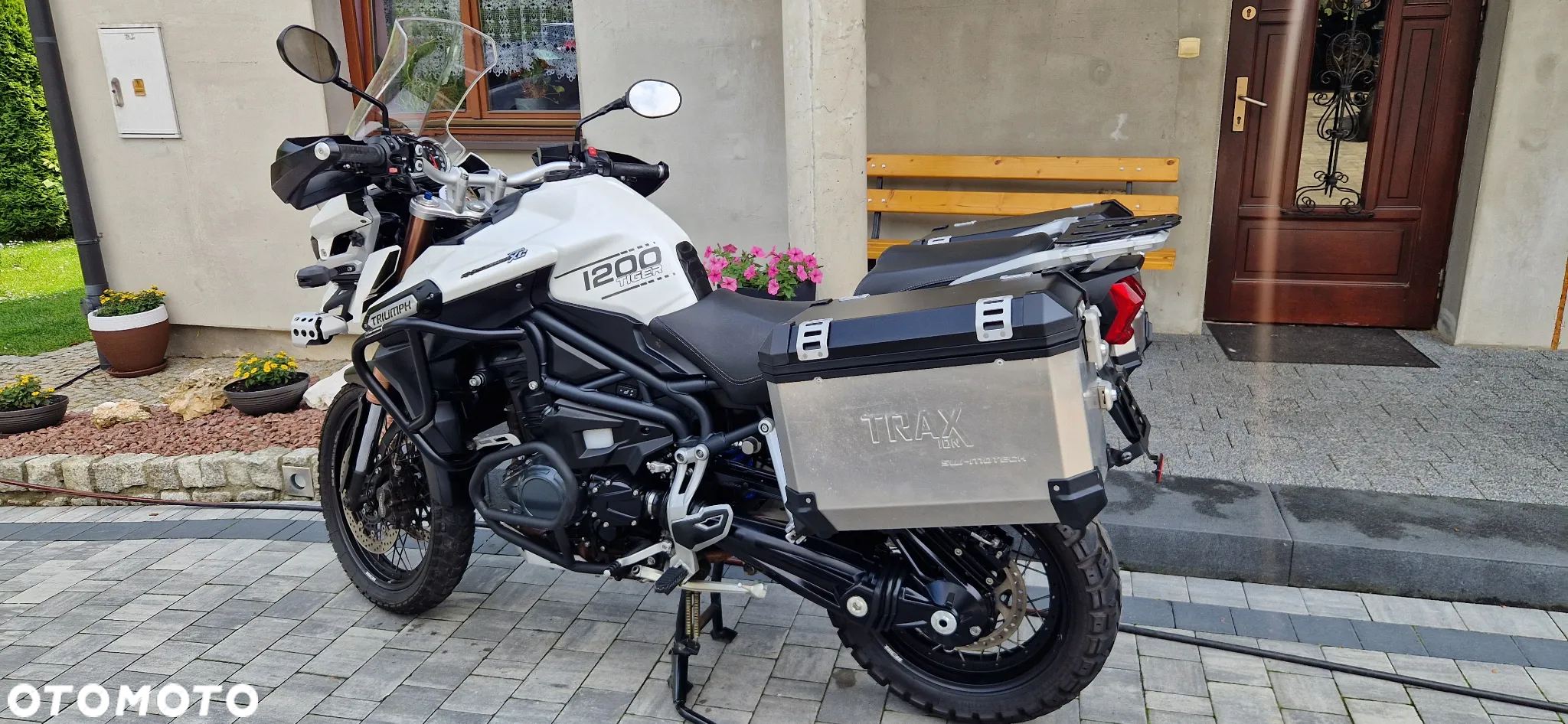Triumph Tiger - 18