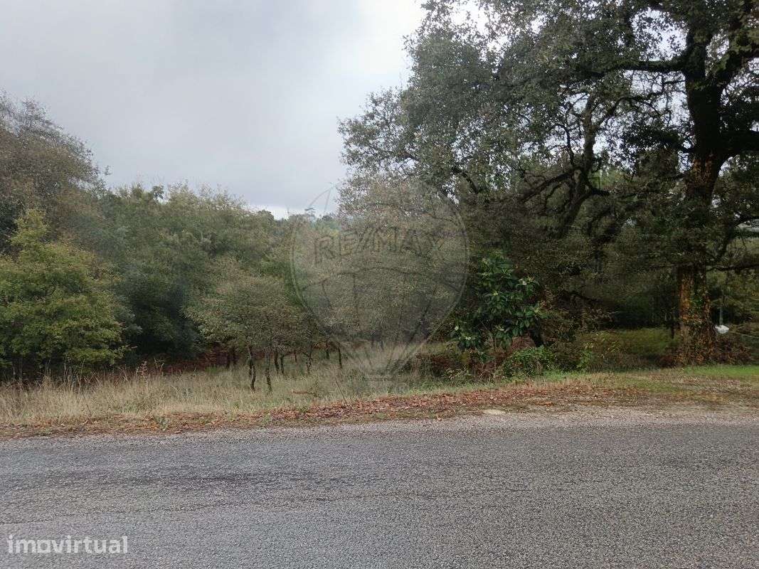 Terreno  para venda - Grande imagem: 4/5