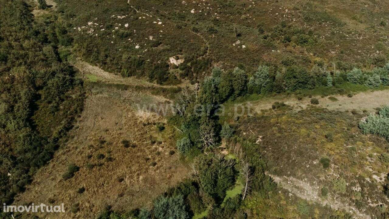 Quinta / Seia, Paranhos - Grande imagem: 2/8