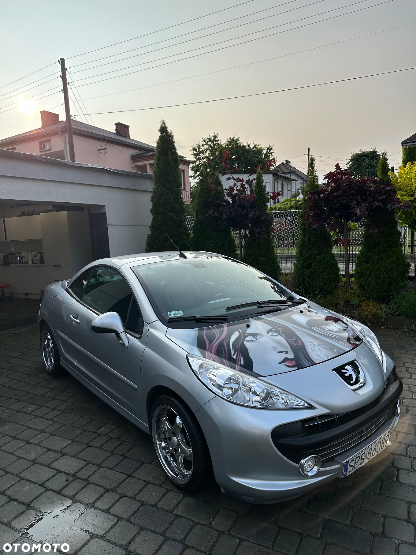 Peugeot 207 CC - 9