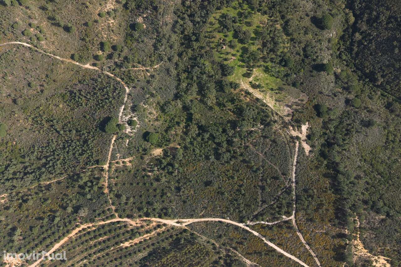 Herdade de 10 hectares em Melides - Grande imagem: 4/22