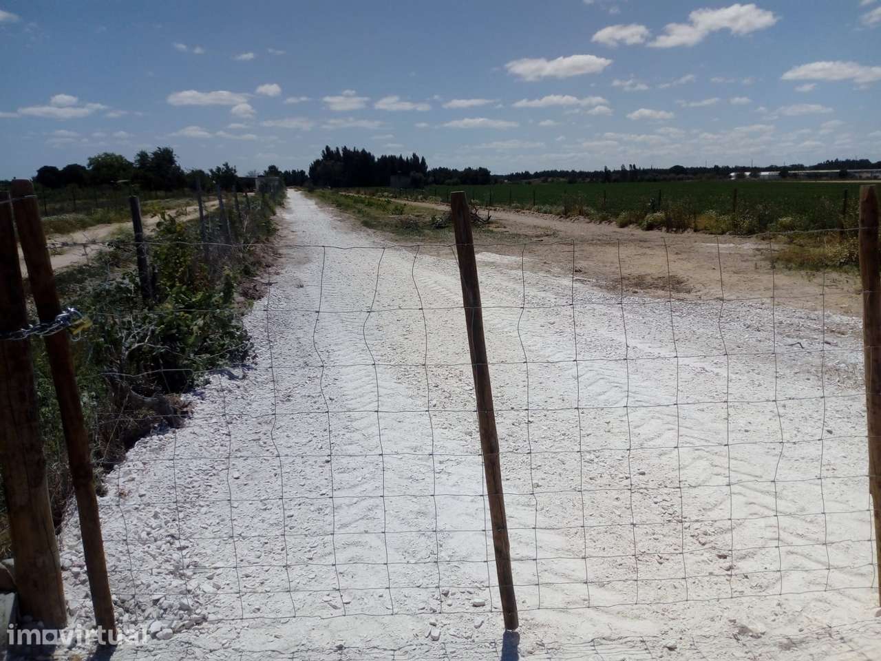 Almeirim - Terreno para Venda em Localização Estratégica - Grande imagem: 2/2