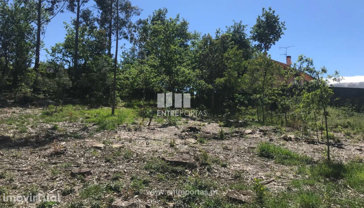 Terreno de construção para venda, Venade, Caminha - Grande imagem: 3/33