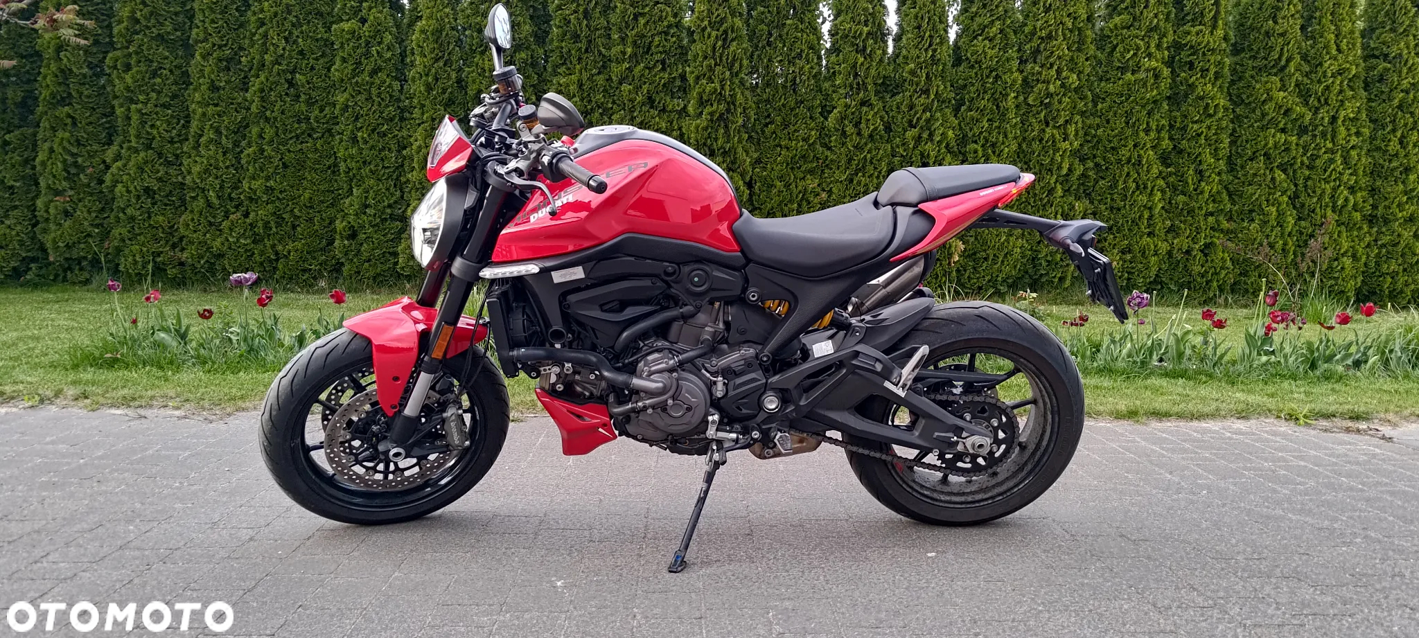 Ducati Monster - 2