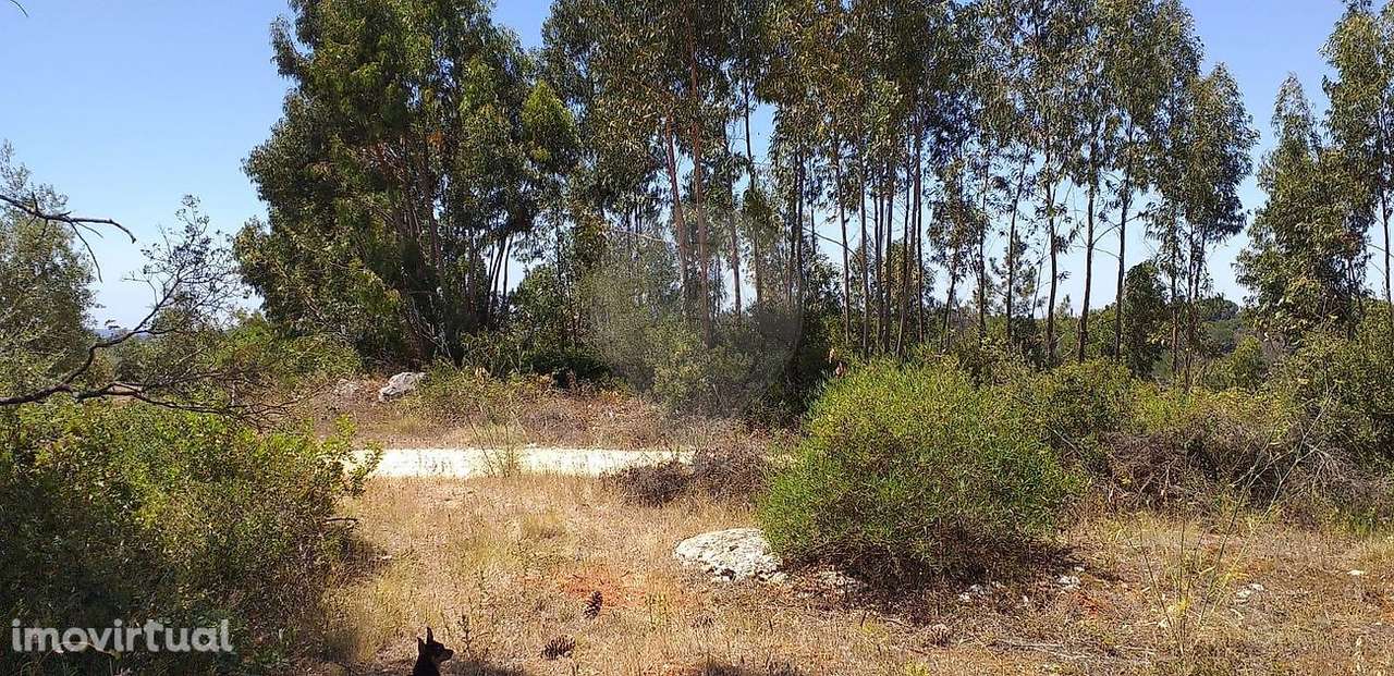 Terreno  para venda - Grande imagem: 2/8