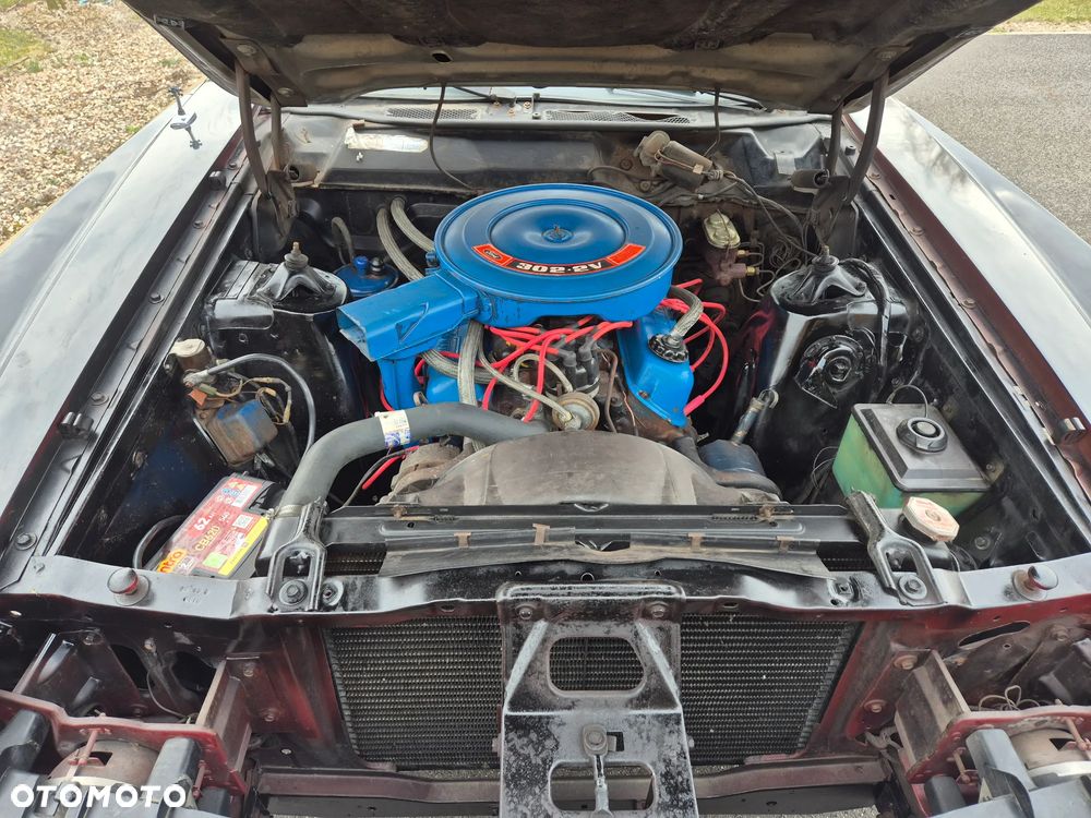 Ford Inny - 14