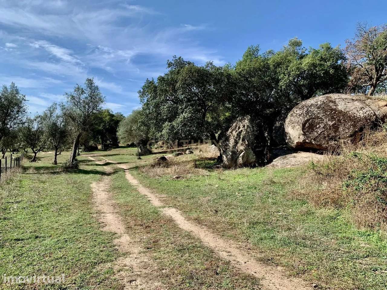 Herdade das Tapadas 87,50 ha Alter Do Chão - Alentejo - Portugal - Grande imagem: 5/51