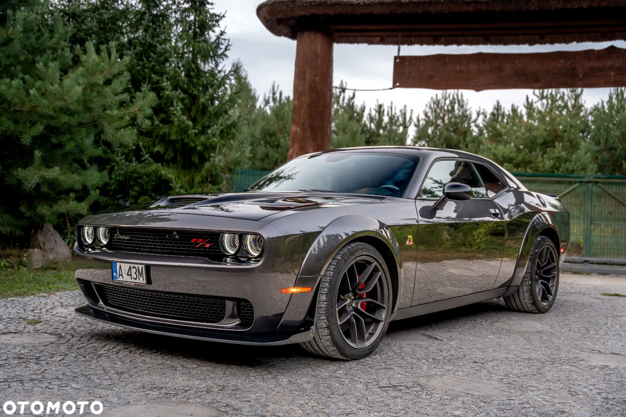 Dodge Challenger 6.4 Scat PackWidebody - 14