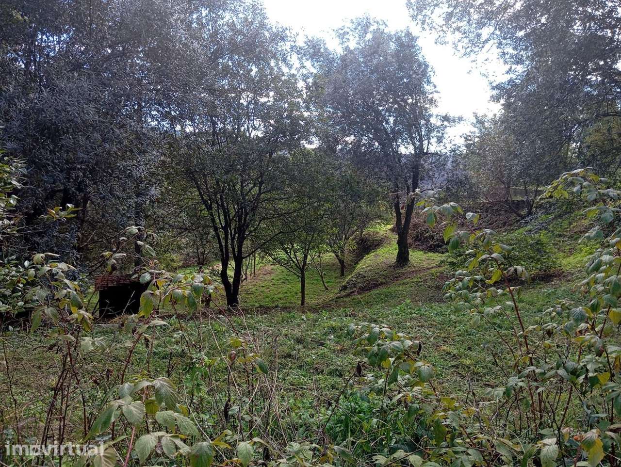 Terreno com viabilidade de construção em Palmaz - Grande imagem: 3/8